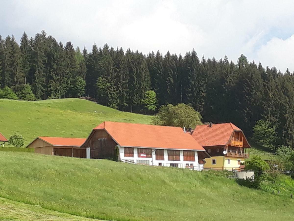 Ferienwohnung Duernberger Liebenfels Exterior photo